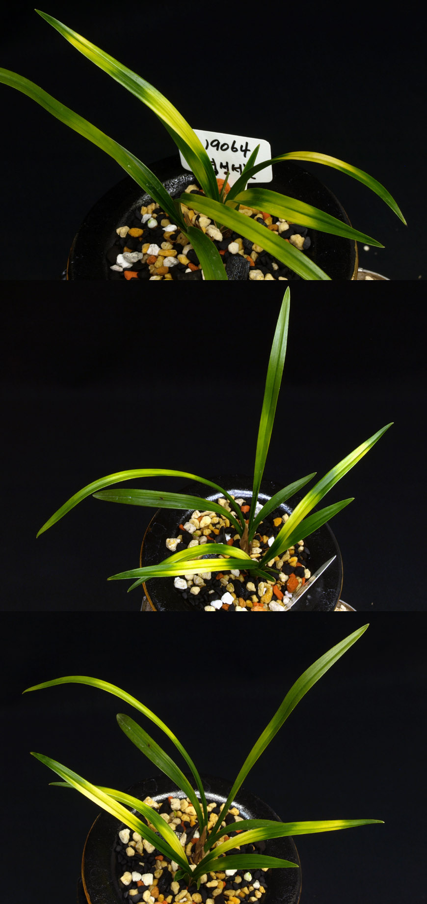 ������ ū������ �� �� �ֽ��ϴ�.