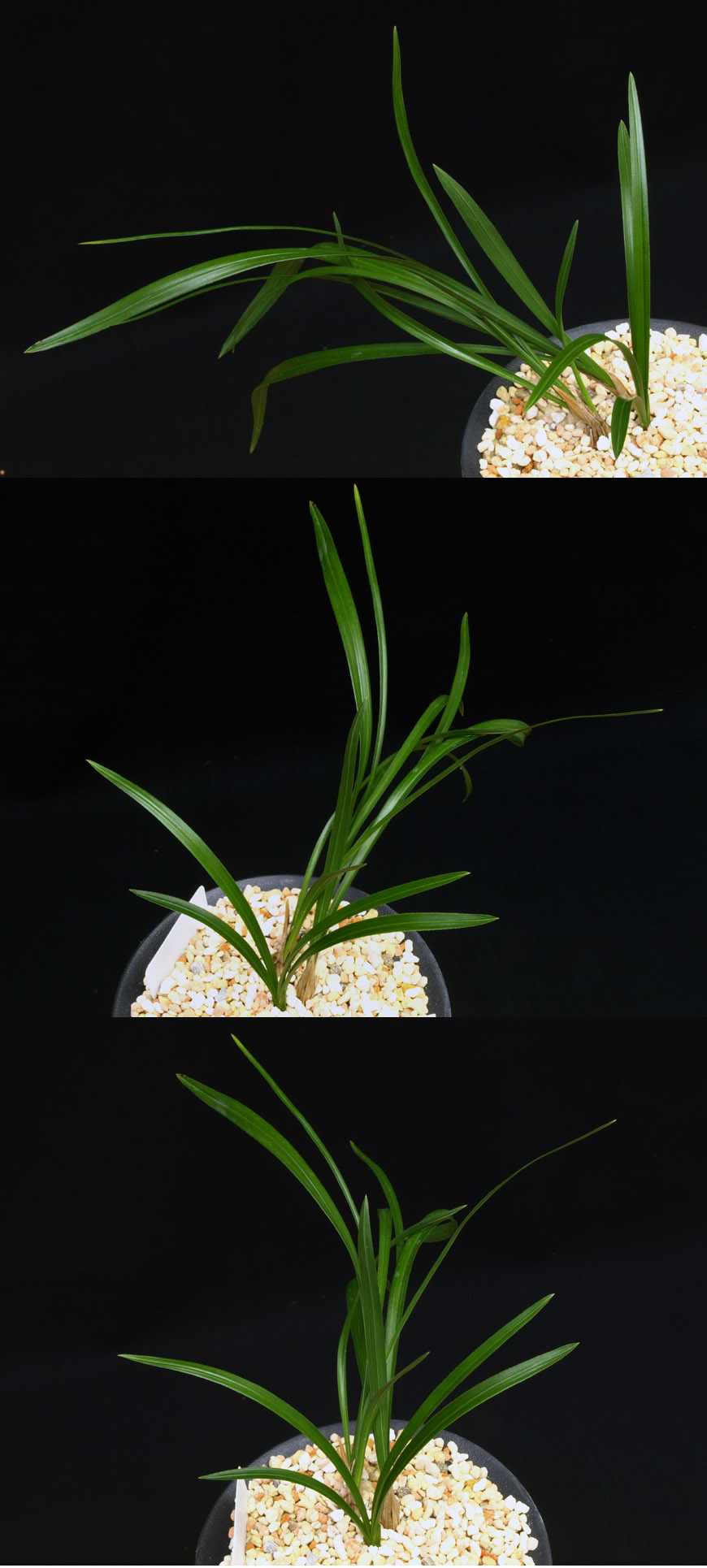 ������ ū������ �� �� �ֽ��ϴ�.