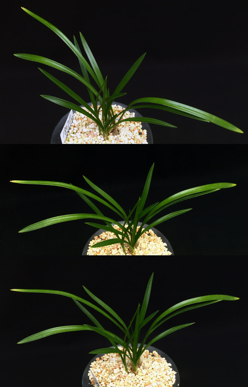 ������ ū������ �� �� �ֽ��ϴ�.