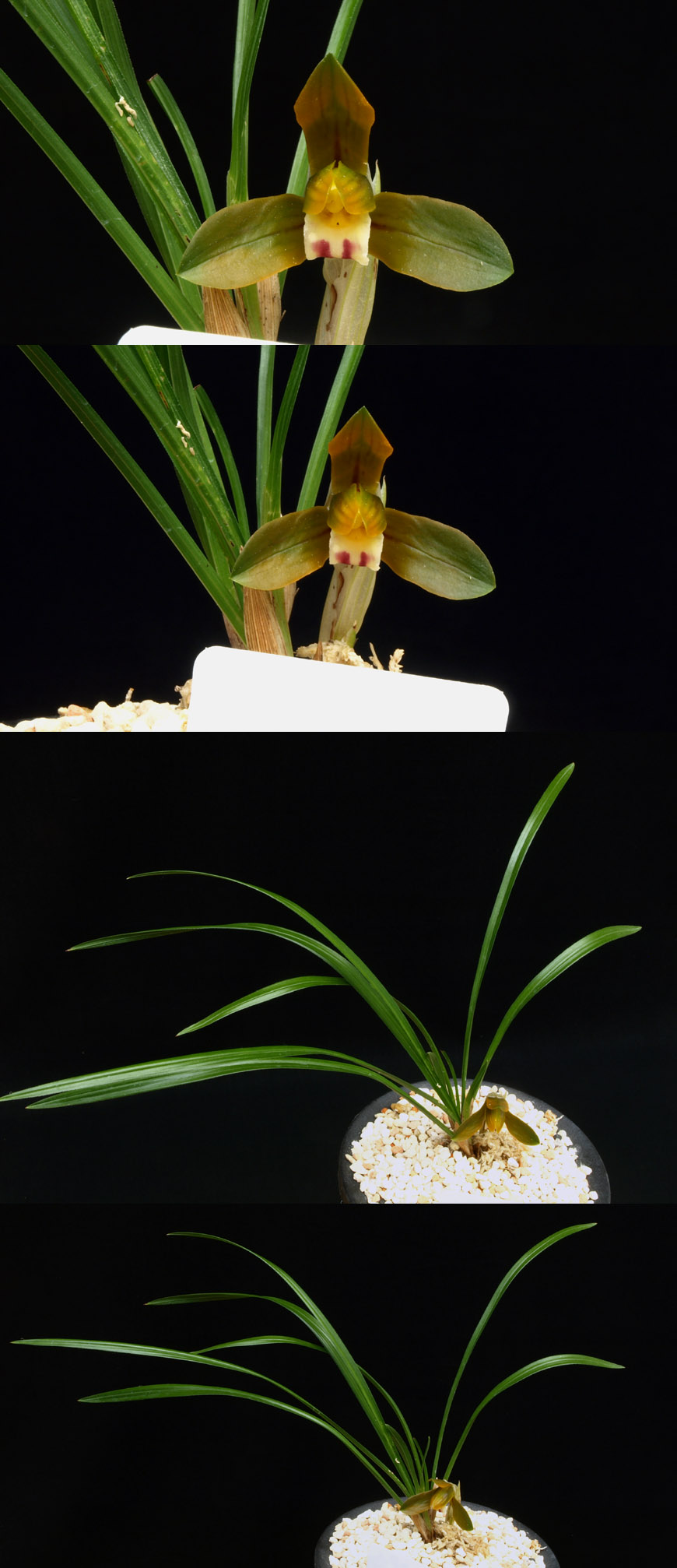 ������ ū������ �� �� �ֽ��ϴ�.