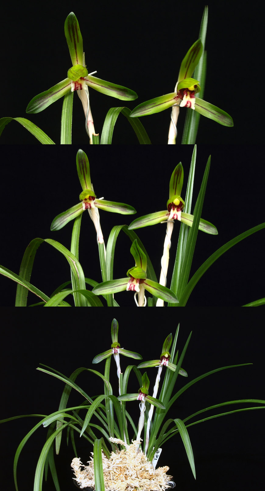 ������ ū������ �� �� �ֽ��ϴ�.