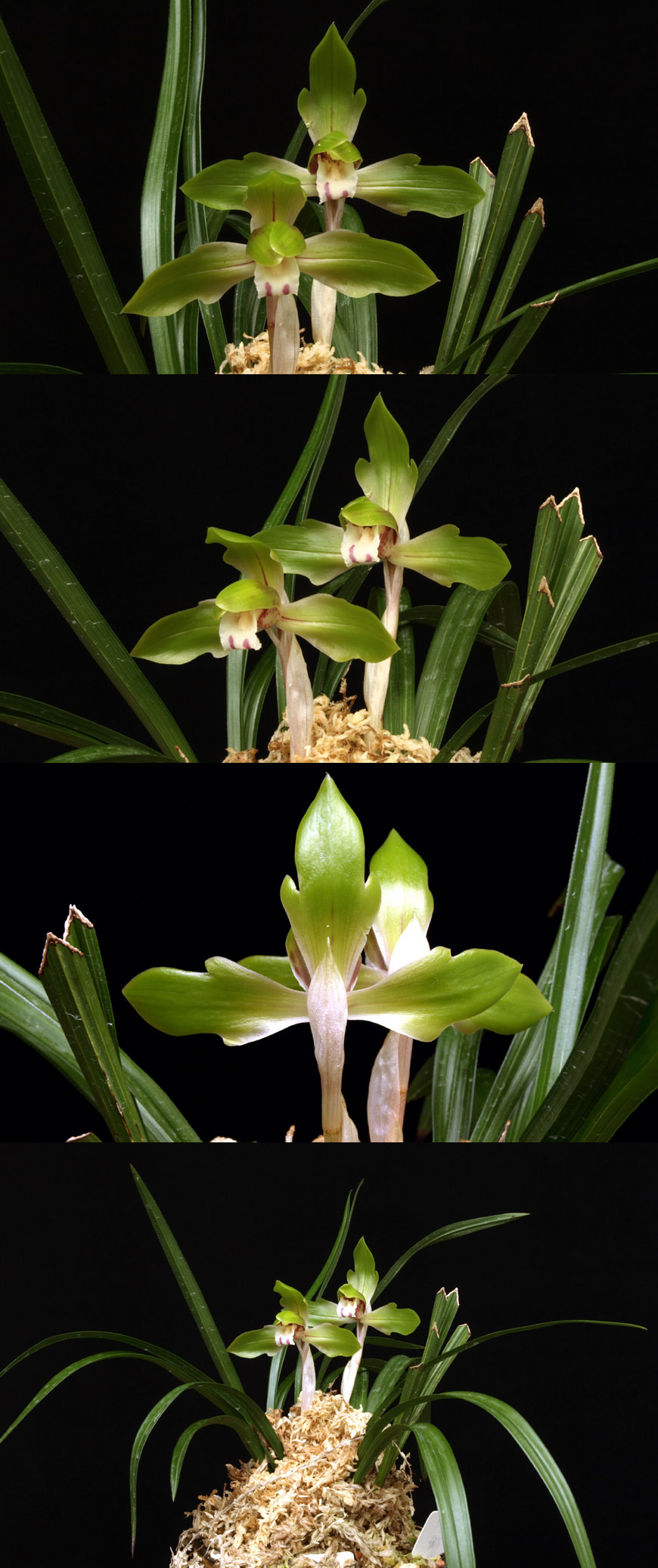 ������ ū������ �� �� �ֽ��ϴ�.