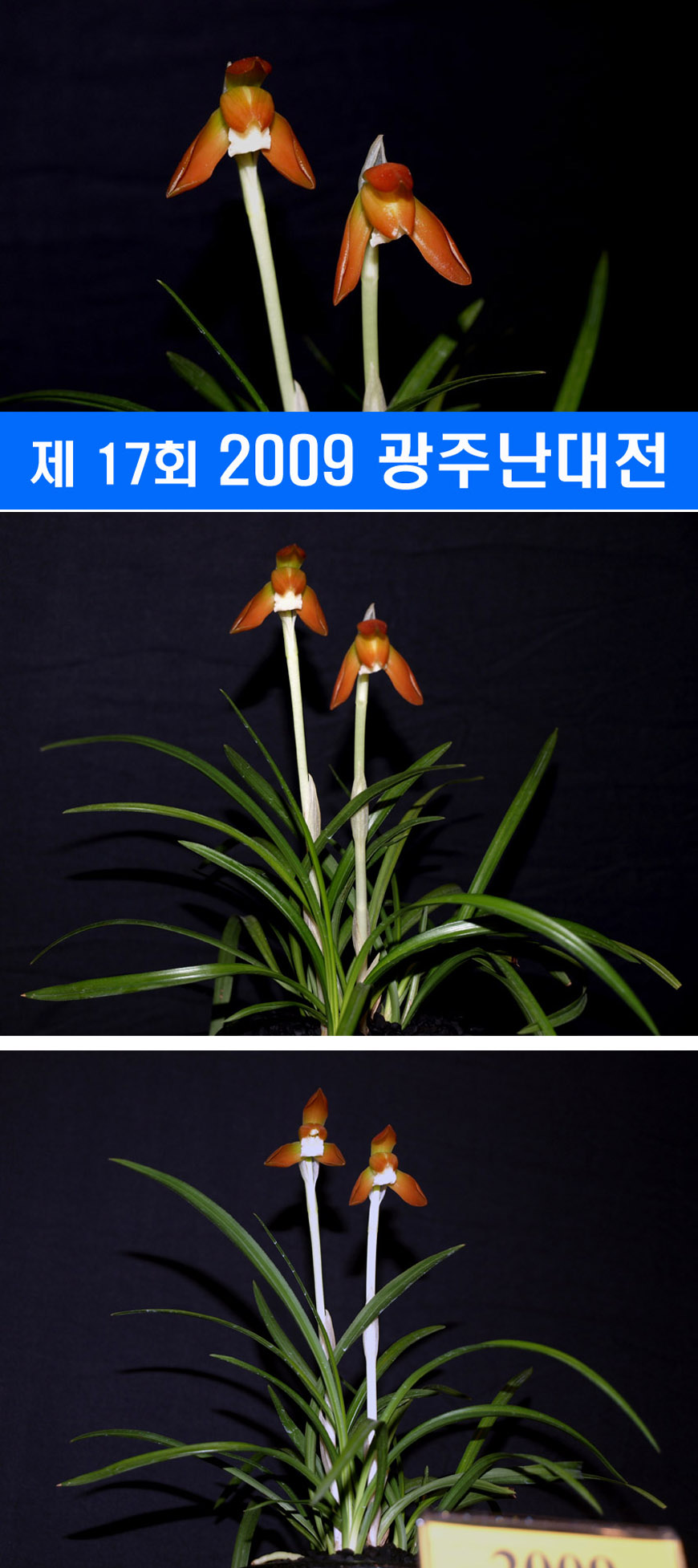 ������ ū������ �� �� �ֽ��ϴ�.