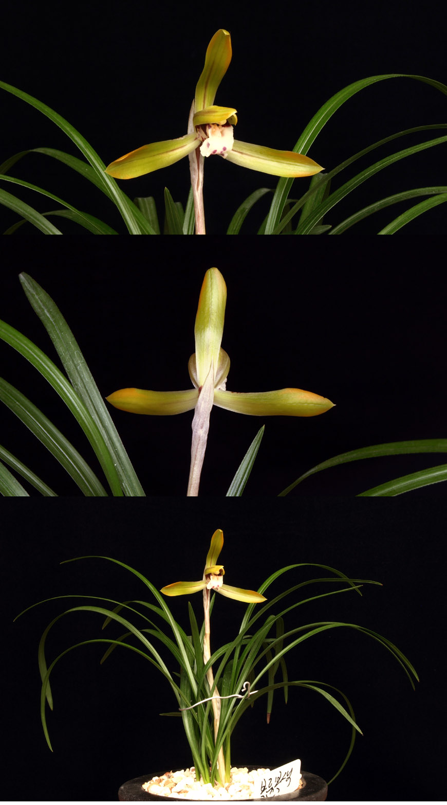 ������ ū������ �� �� �ֽ��ϴ�.