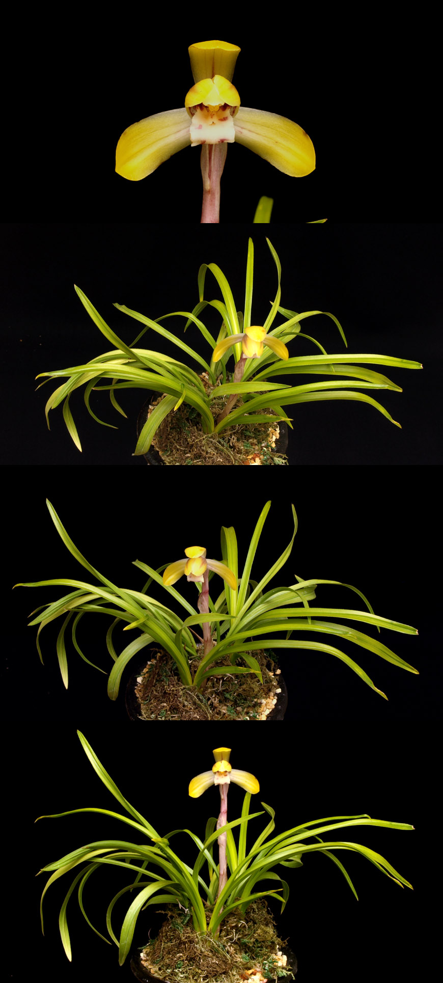 ������ ū������ �� �� �ֽ��ϴ�.