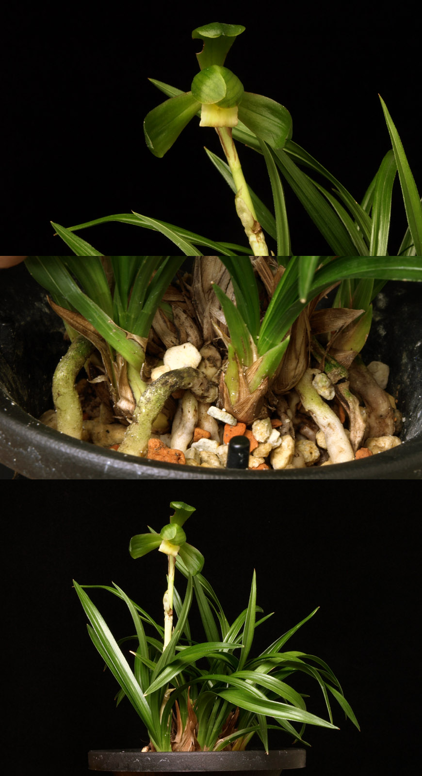 ������ ū������ �� �� �ֽ��ϴ�.