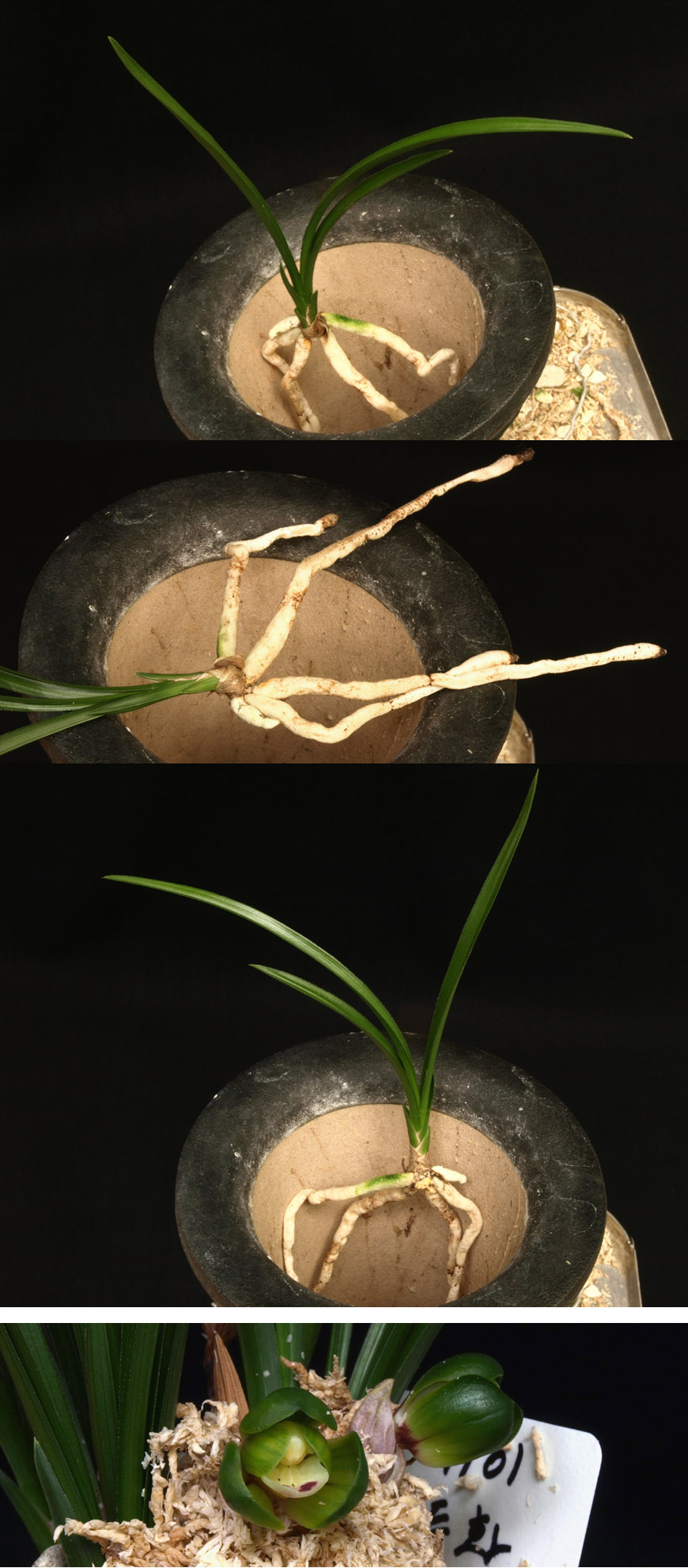 ������ ū������ �� �� �ֽ��ϴ�.