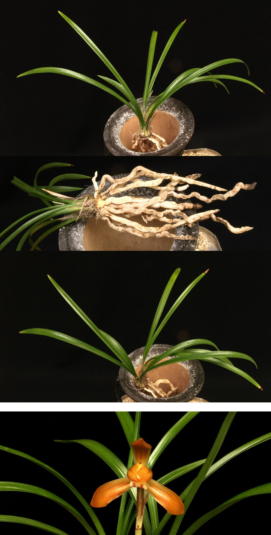 ������ ū������ �� �� �ֽ��ϴ�.