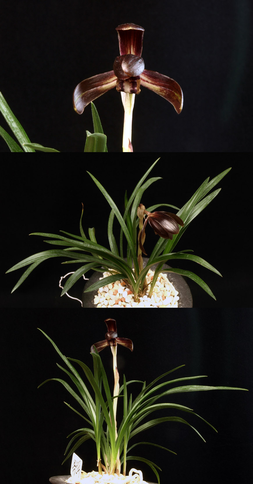 ������ ū������ �� �� �ֽ��ϴ�.