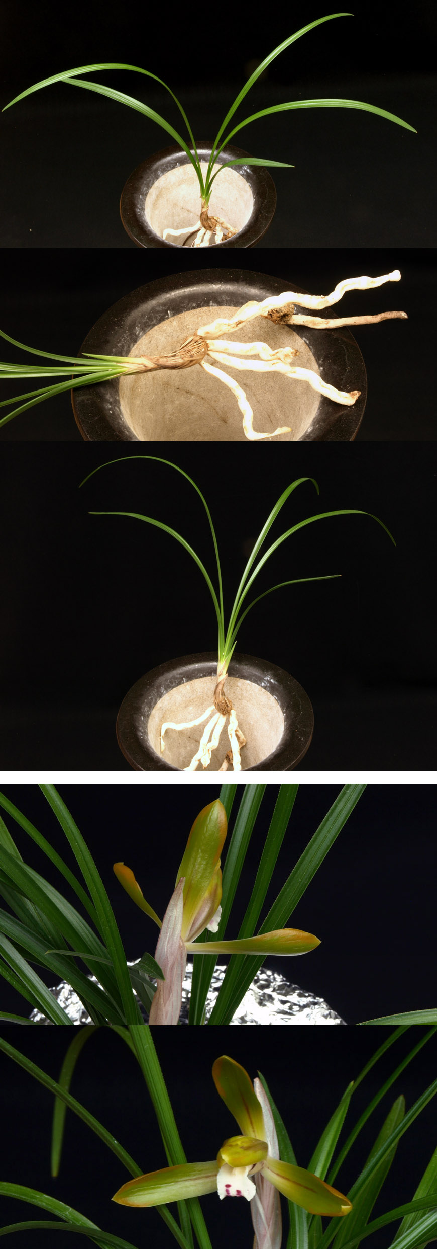 ������ ū������ �� �� �ֽ��ϴ�.