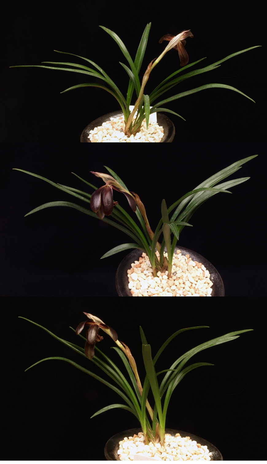 ������ ū������ �� �� �ֽ��ϴ�.