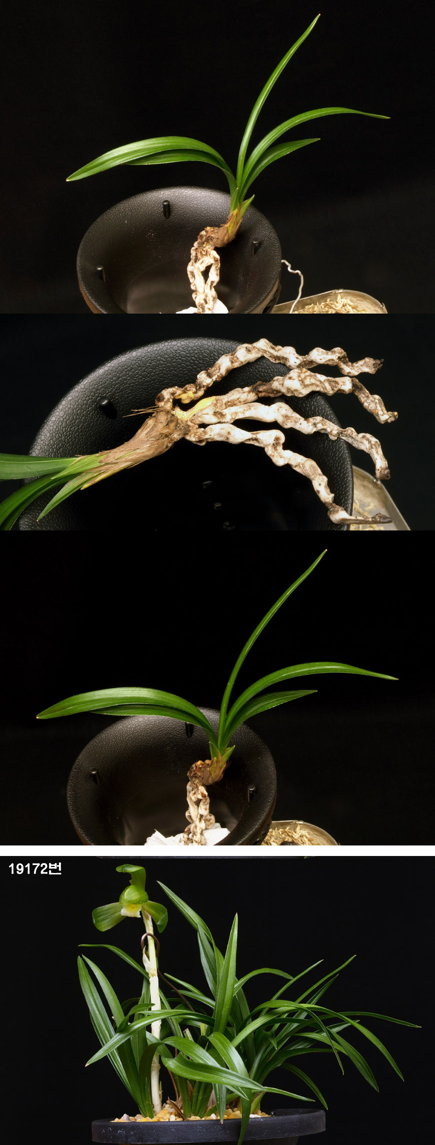 ������ ū������ �� �� �ֽ��ϴ�.