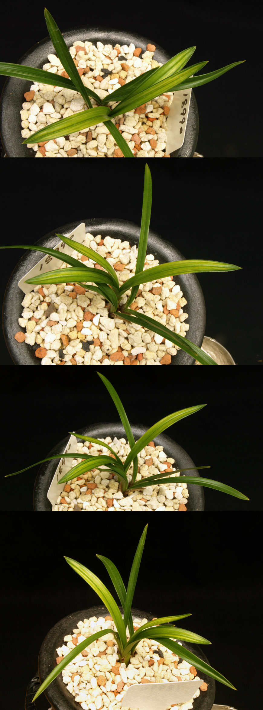 ������ ū������ �� �� �ֽ��ϴ�.