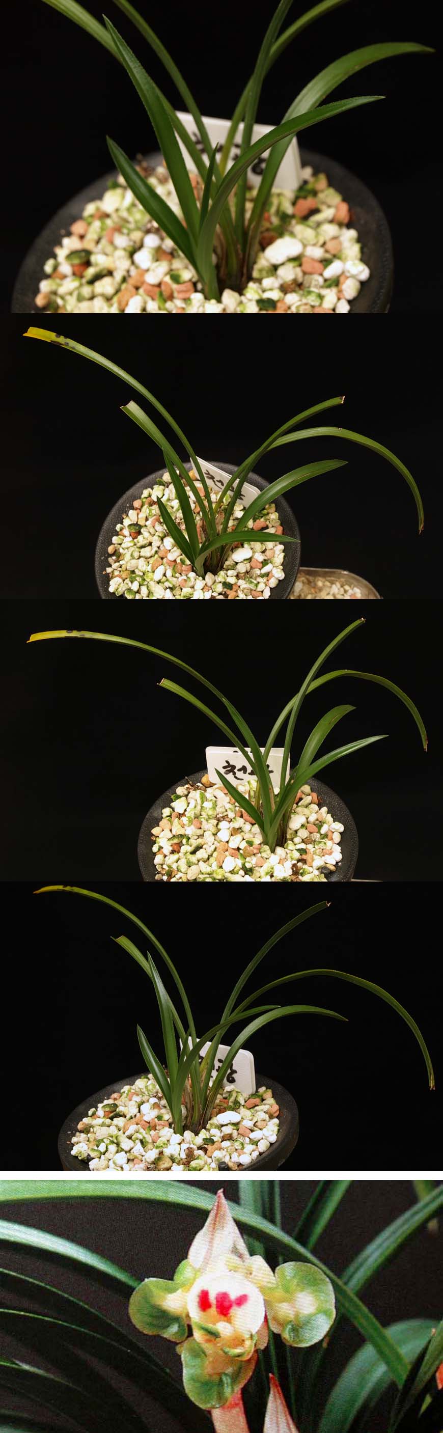 ������ ū������ �� �� �ֽ��ϴ�.