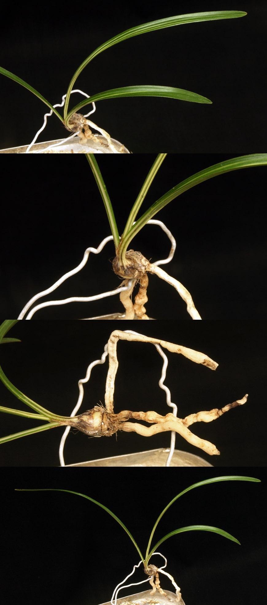 ������ ū������ �� �� �ֽ��ϴ�.