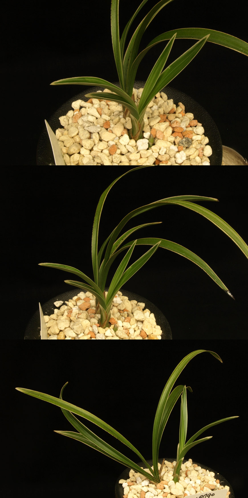 ������ ū������ �� �� �ֽ��ϴ�.