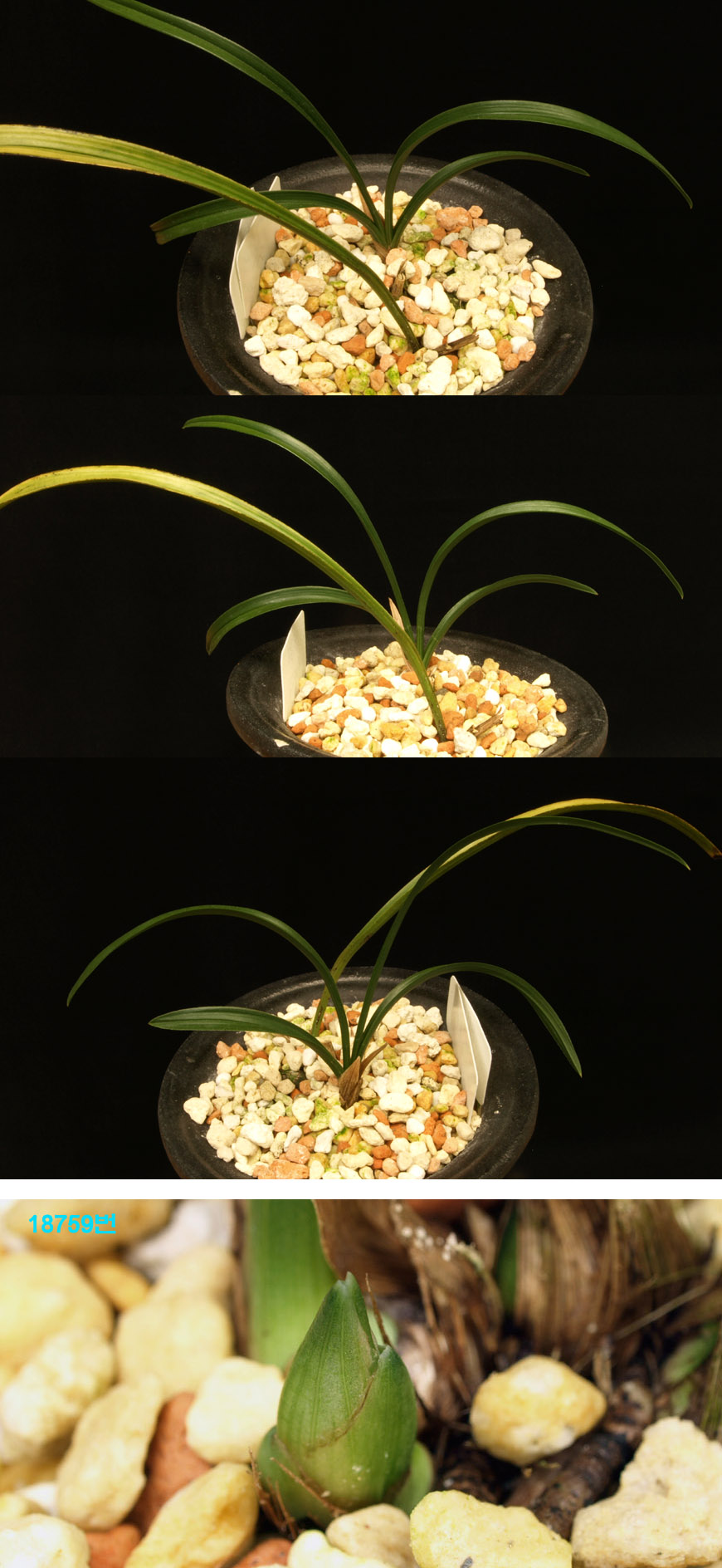 ������ ū������ �� �� �ֽ��ϴ�.