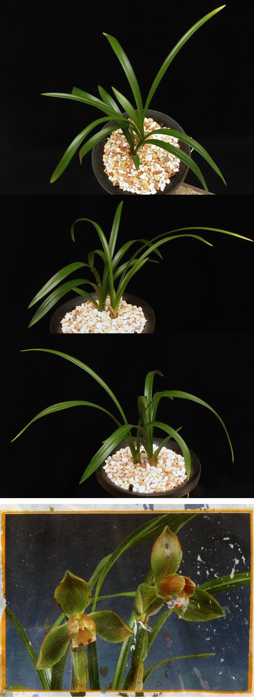 ������ ū������ �� �� �ֽ��ϴ�.