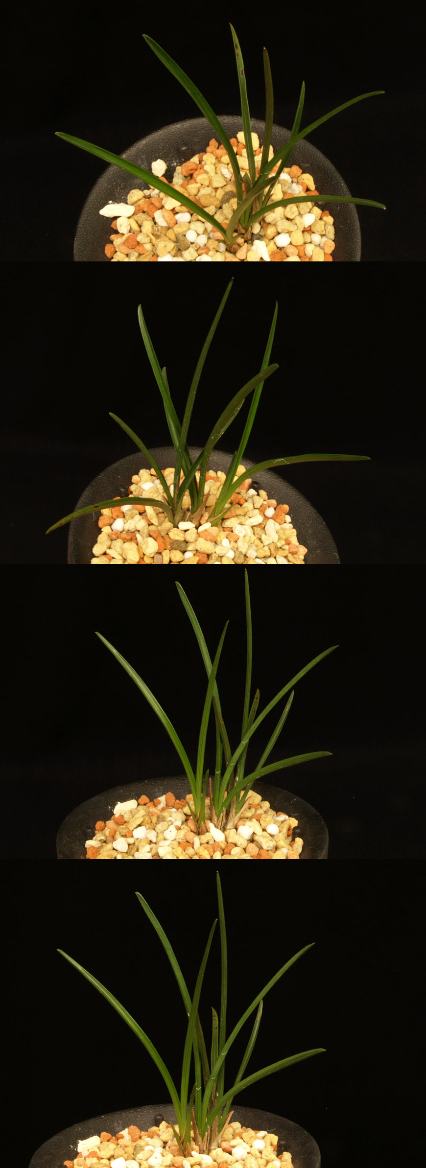 ������ ū������ �� �� �ֽ��ϴ�.