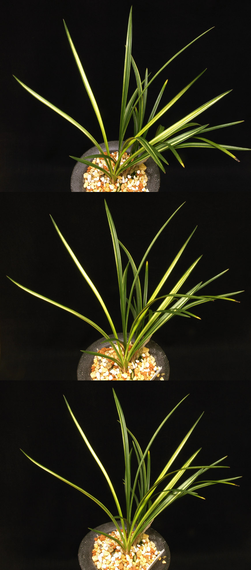 ������ ū������ �� �� �ֽ��ϴ�.