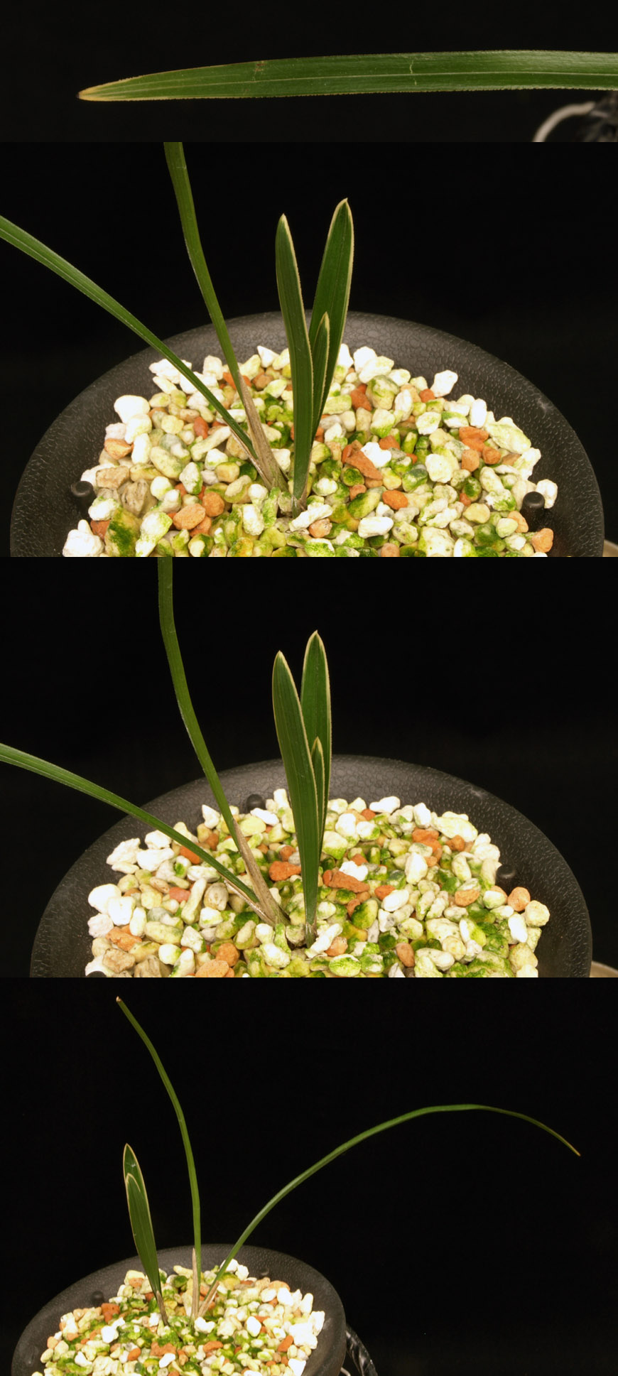 ������ ū������ �� �� �ֽ��ϴ�.