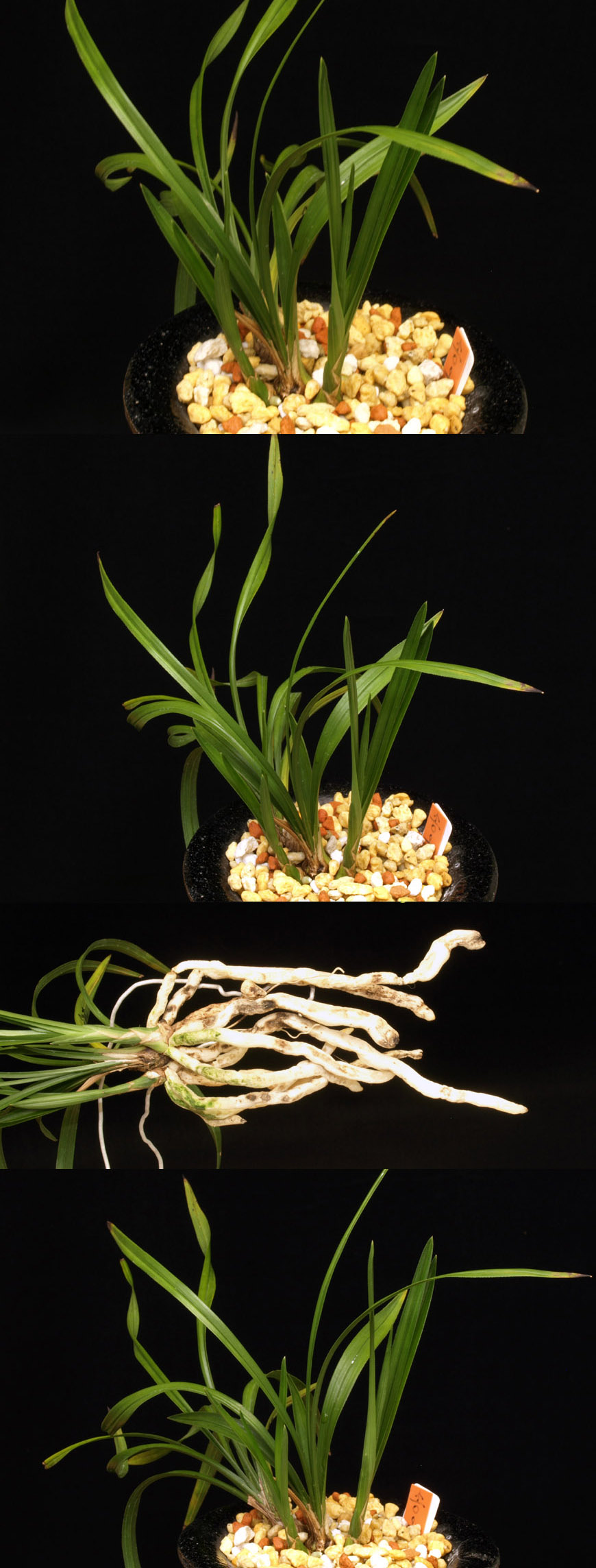 ������ ū������ �� �� �ֽ��ϴ�.