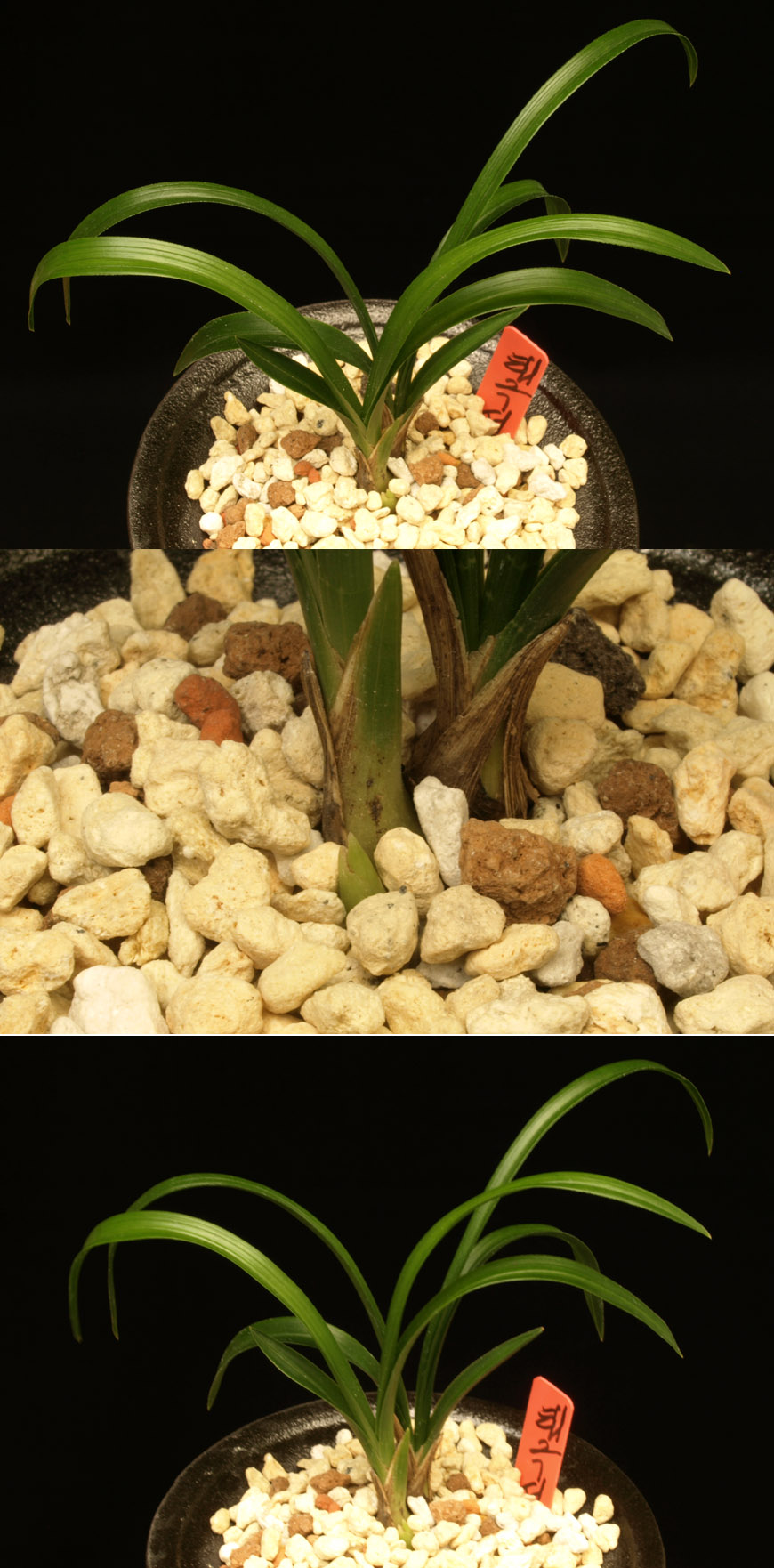 ������ ū������ �� �� �ֽ��ϴ�.