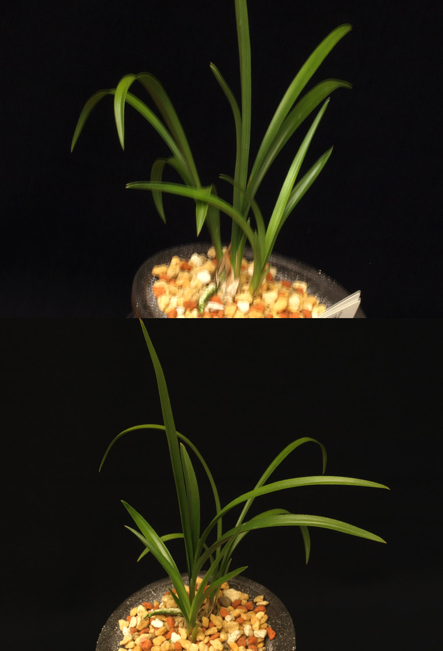 ������ ū������ �� �� �ֽ��ϴ�.