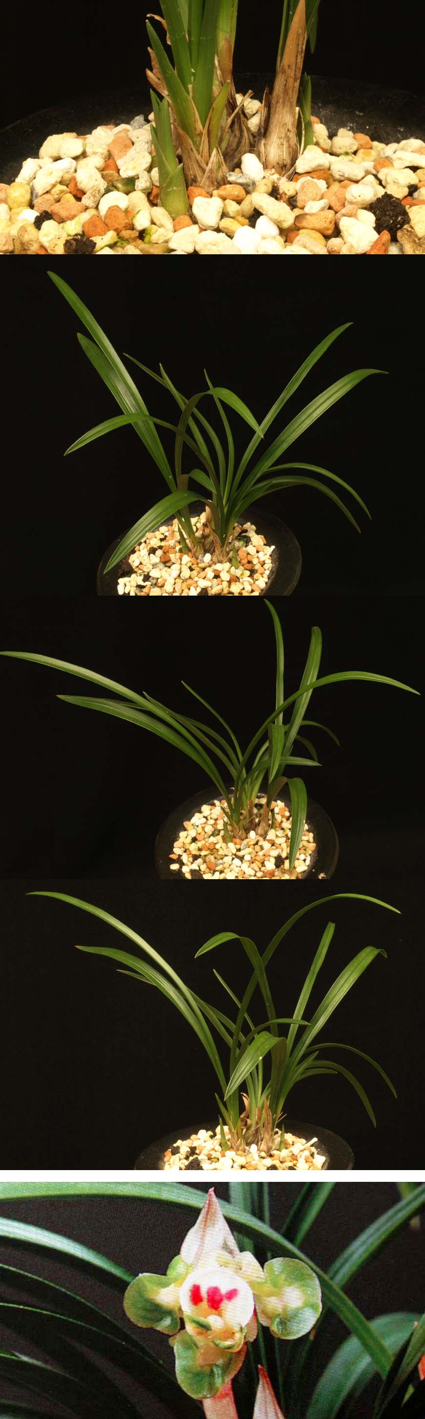 ������ ū������ �� �� �ֽ��ϴ�.