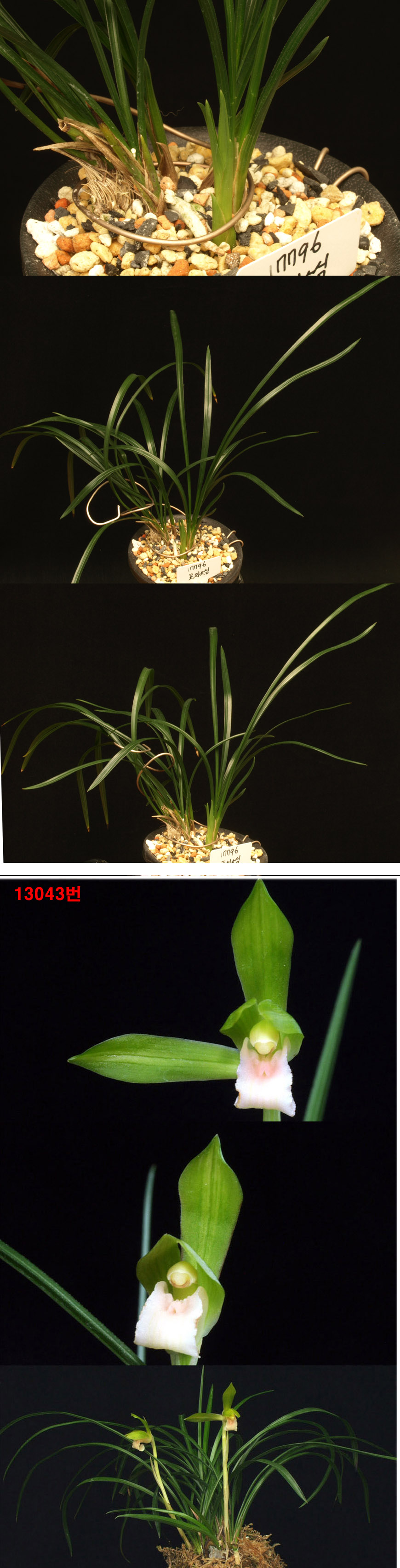 ������ ū������ �� �� �ֽ��ϴ�.