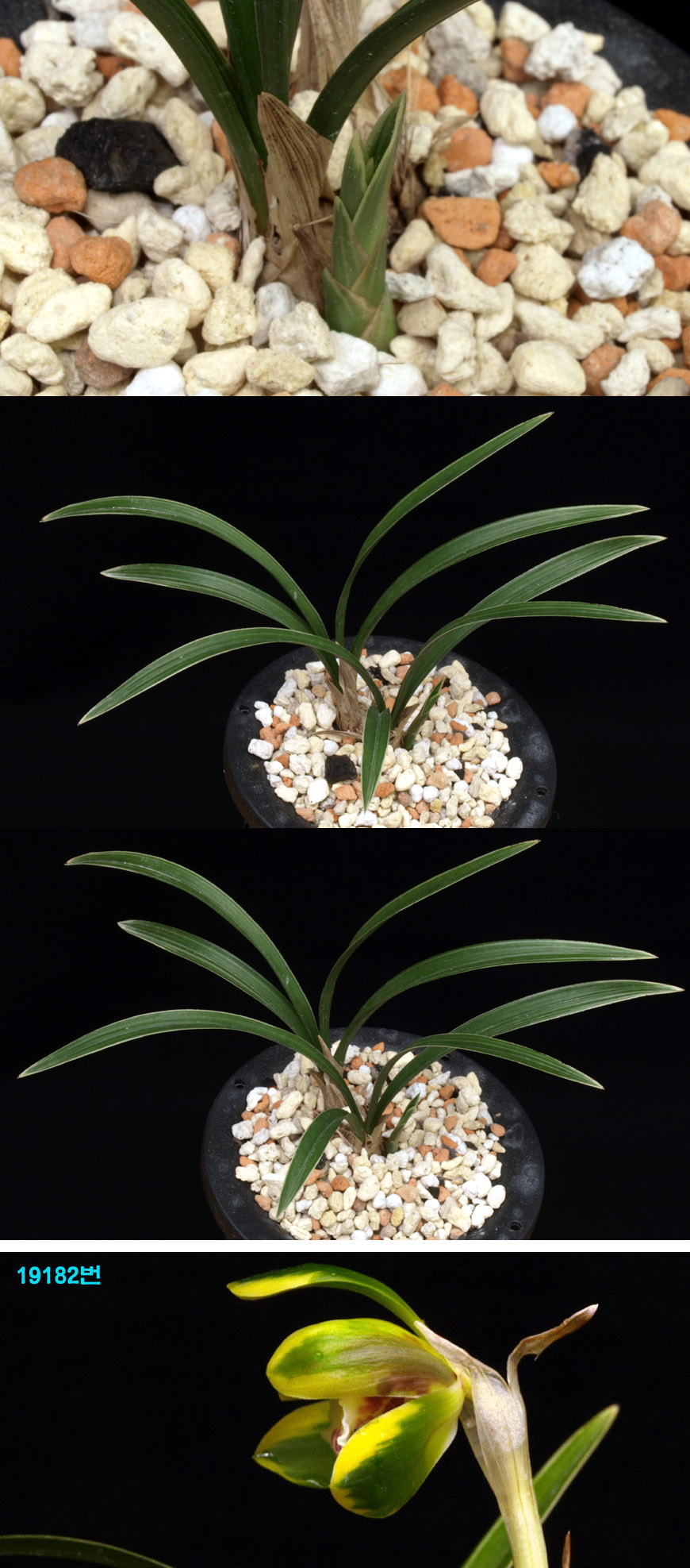 ������ ū������ �� �� �ֽ��ϴ�.