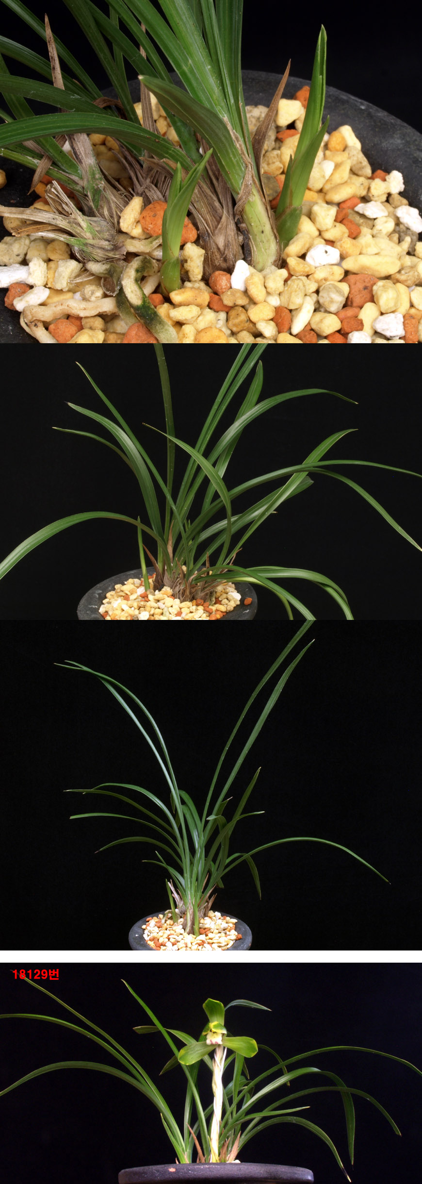 ������ ū������ �� �� �ֽ��ϴ�.