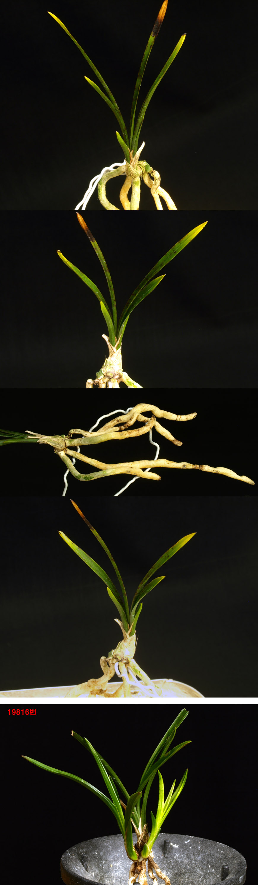 ������ ū������ �� �� �ֽ��ϴ�.