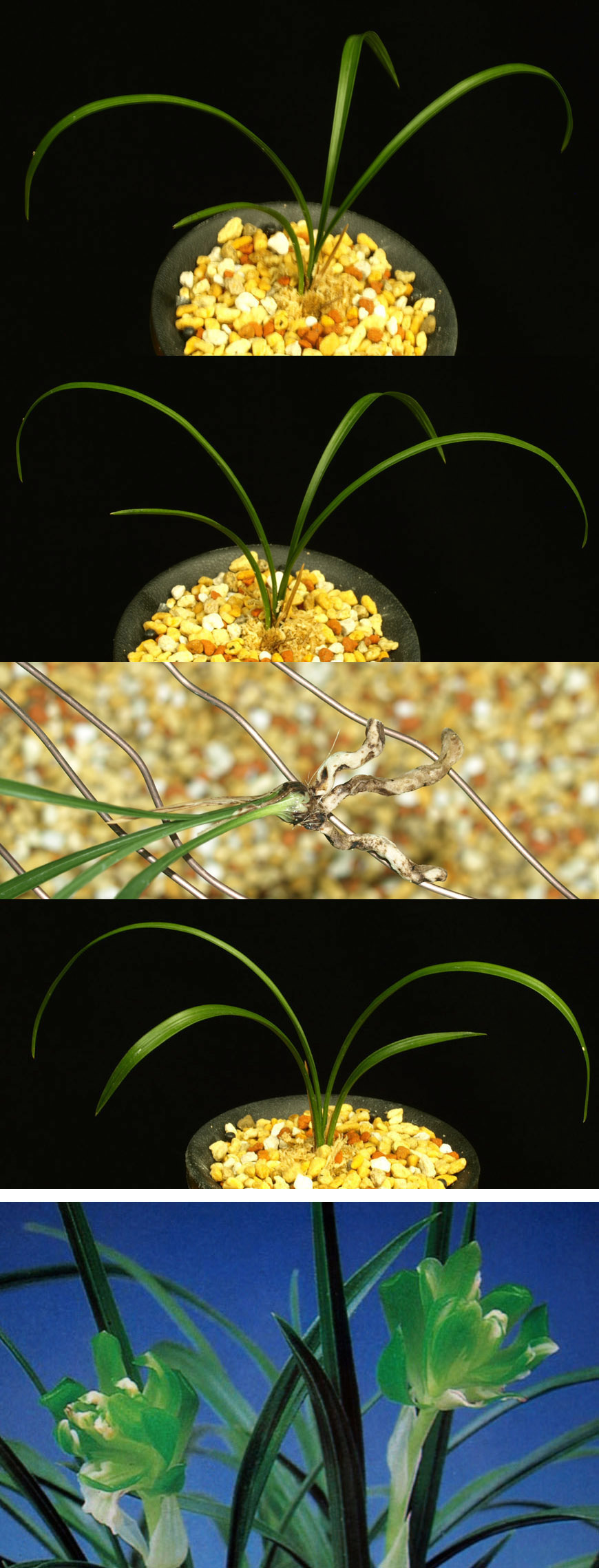 ������ ū������ �� �� �ֽ��ϴ�.