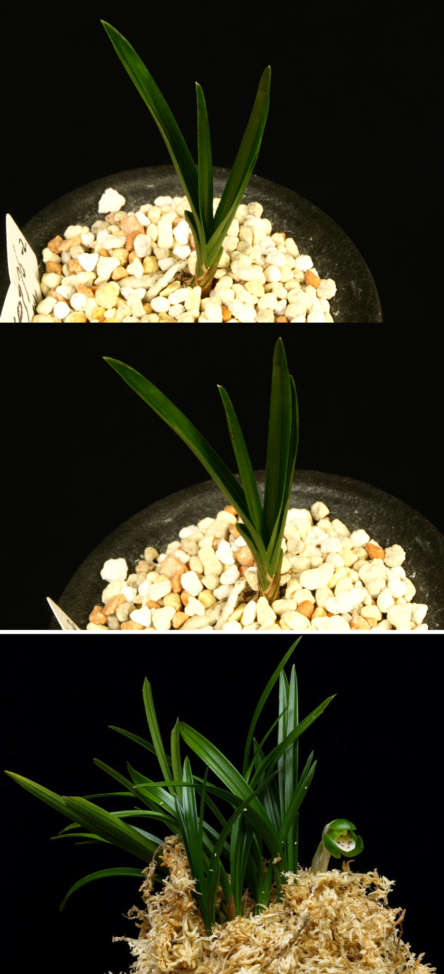 ������ ū������ �� �� �ֽ��ϴ�.