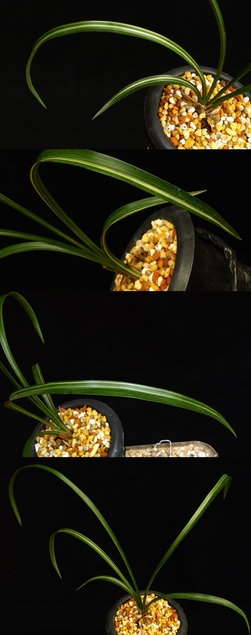 ������ ū������ �� �� �ֽ��ϴ�.