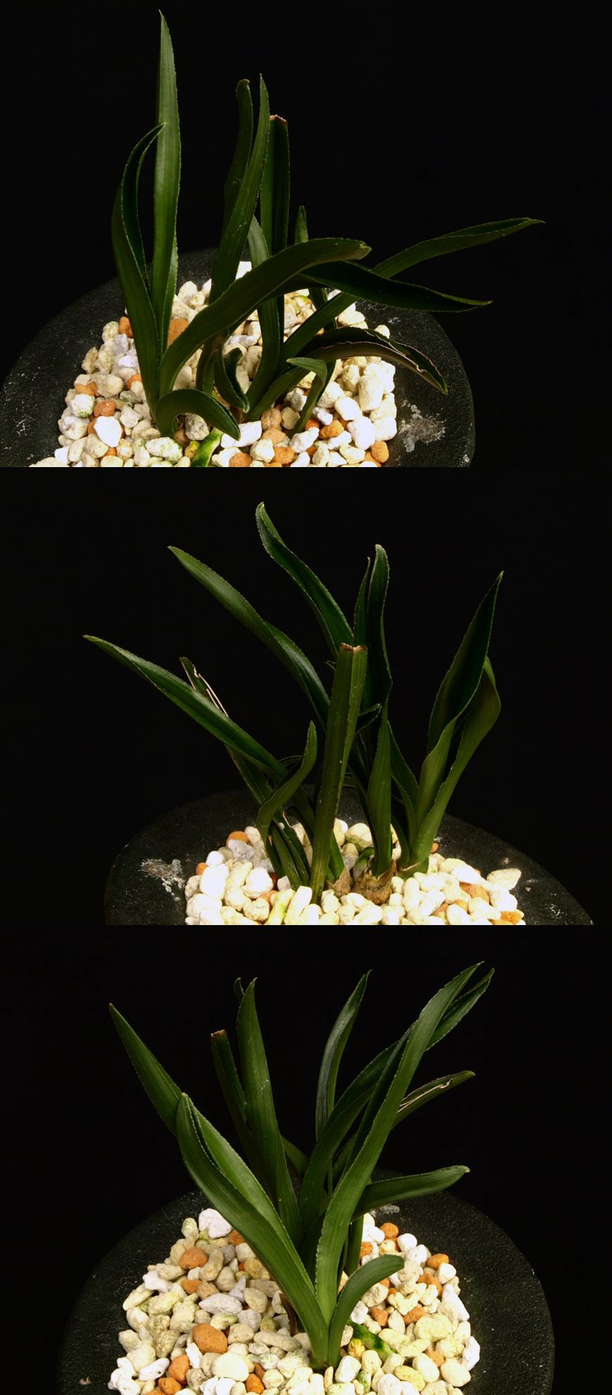 ������ ū������ �� �� �ֽ��ϴ�.