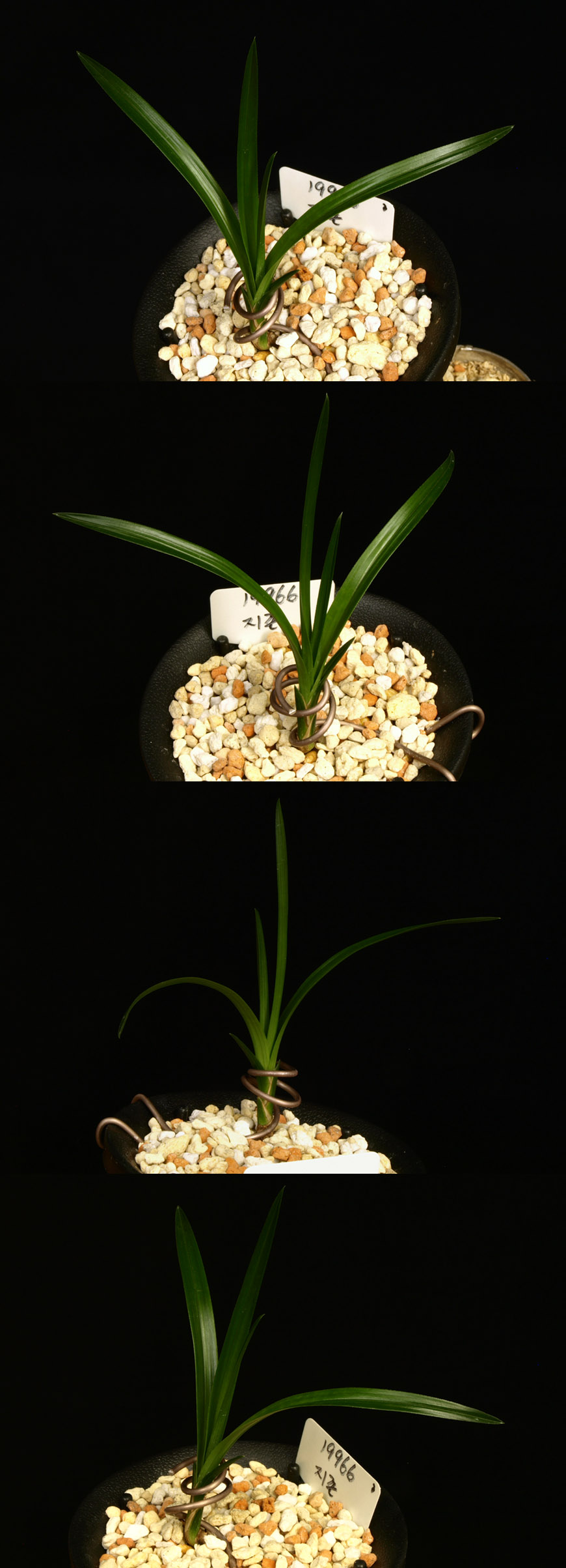 ������ ū������ �� �� �ֽ��ϴ�.