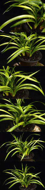 ������ ū������ �� �� �ֽ��ϴ�.