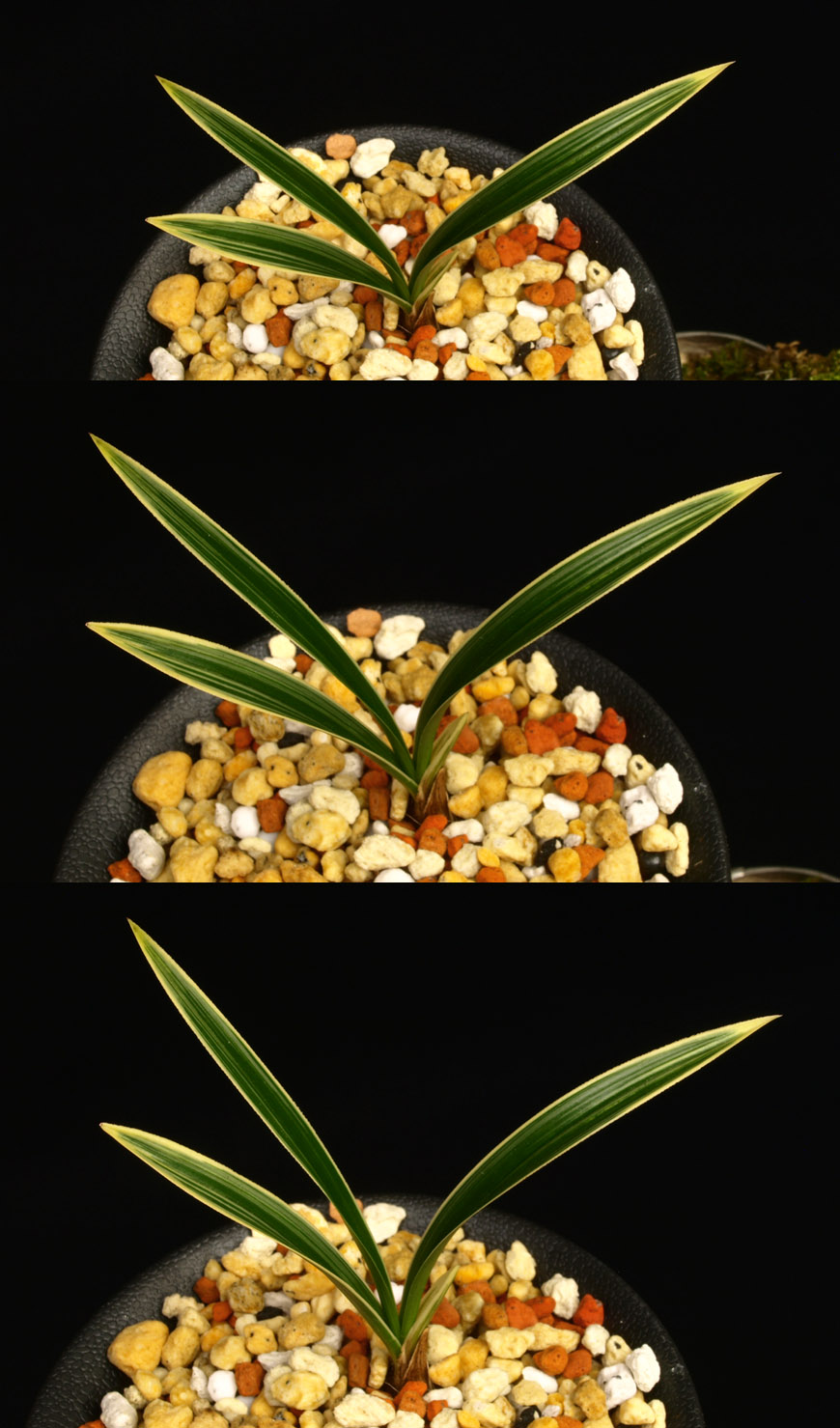 ������ ū������ �� �� �ֽ��ϴ�.