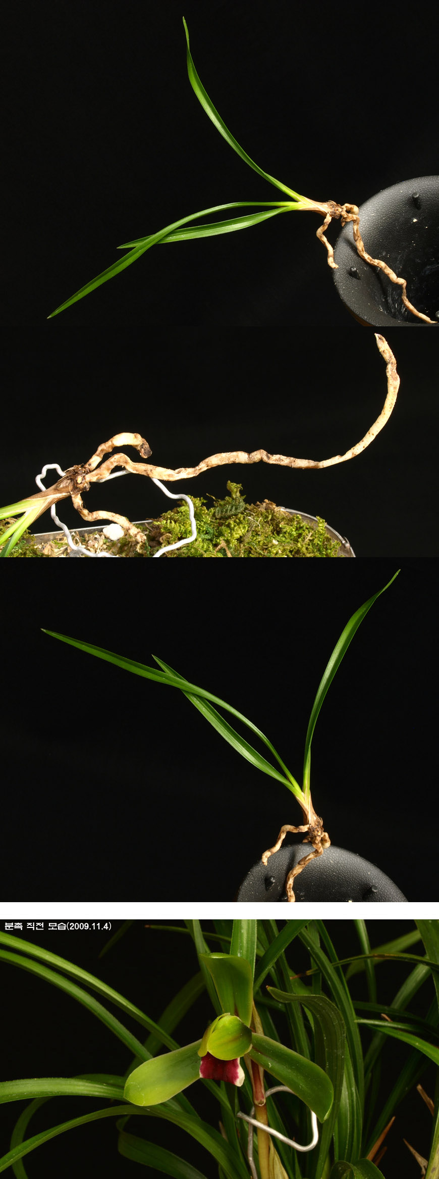 ������ ū������ �� �� �ֽ��ϴ�.