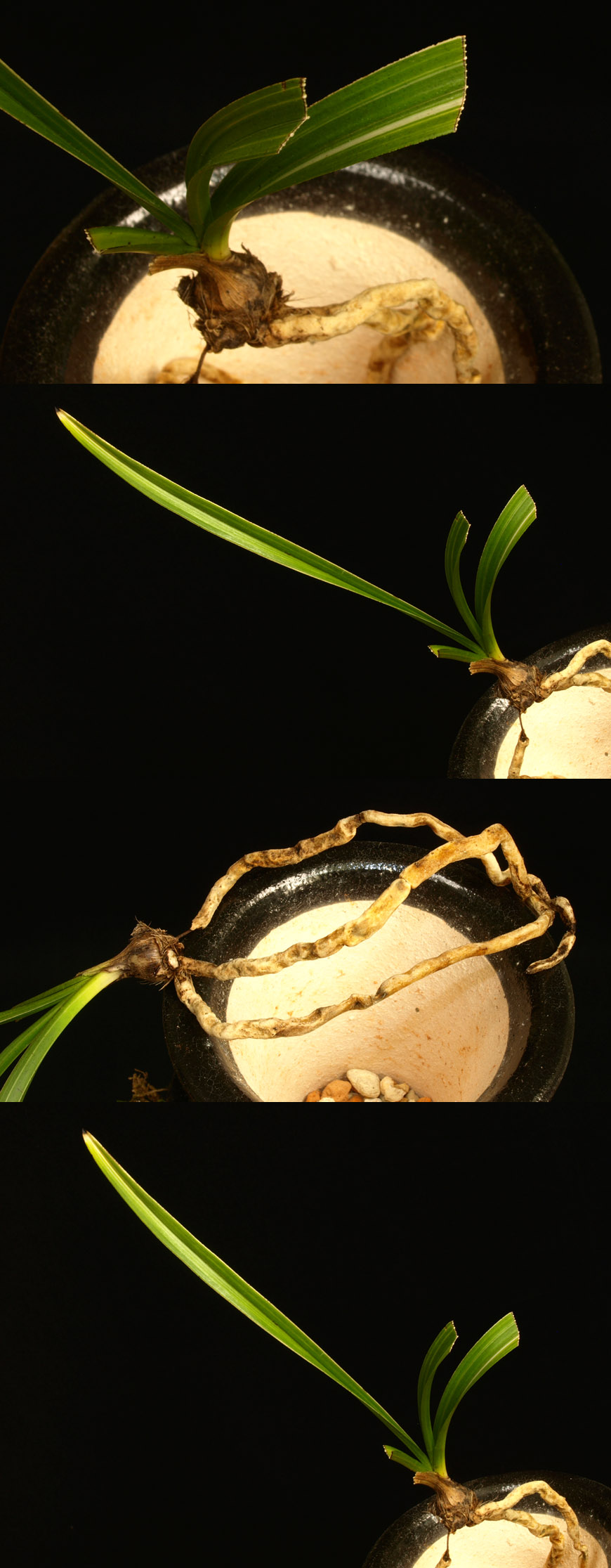 ������ ū������ �� �� �ֽ��ϴ�.