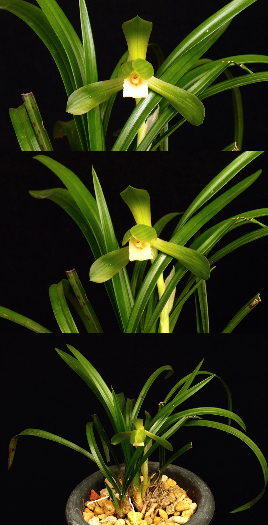 ������ ū������ �� �� �ֽ��ϴ�.