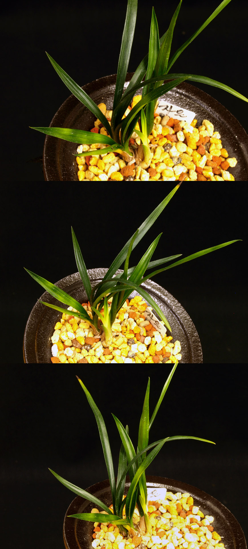 ������ ū������ �� �� �ֽ��ϴ�.