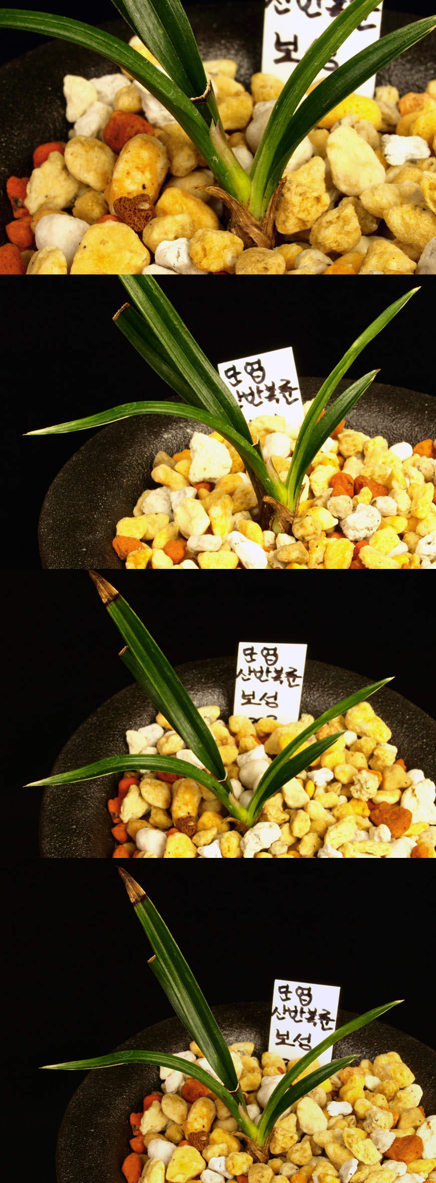 ������ ū������ �� �� �ֽ��ϴ�.