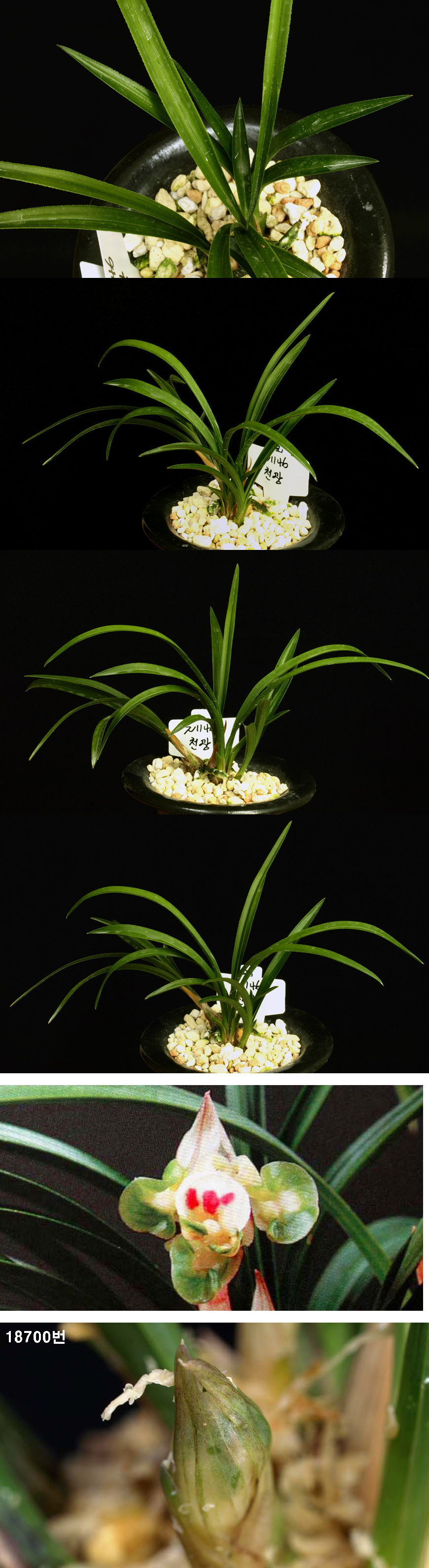 ������ ū������ �� �� �ֽ��ϴ�.