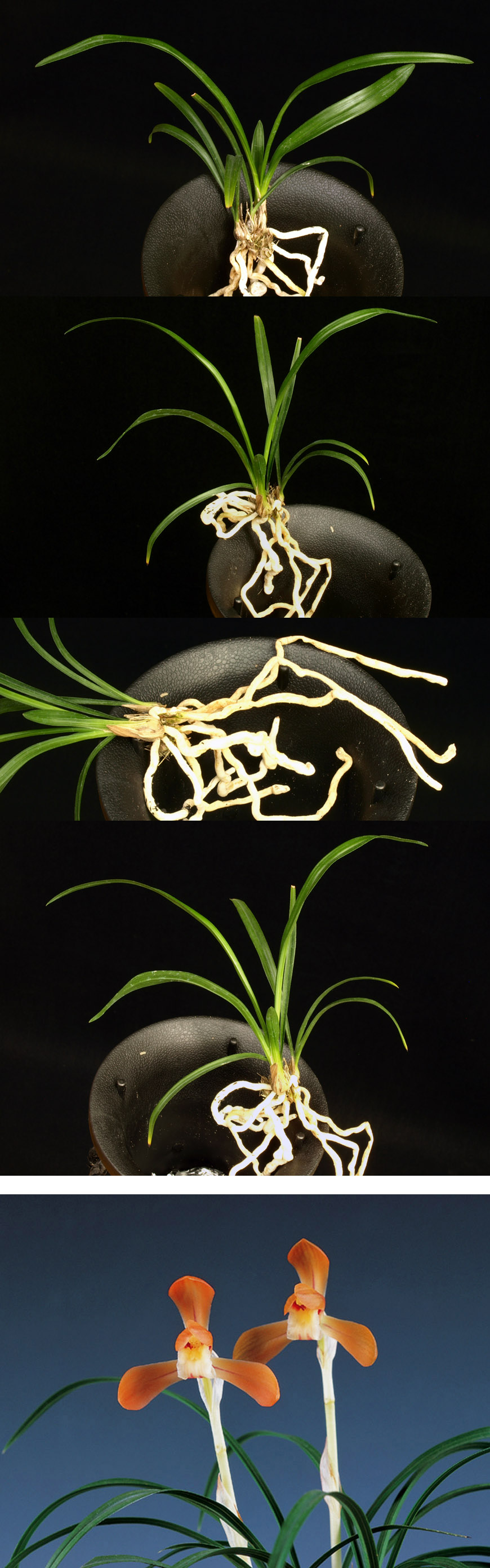 ������ ū������ �� �� �ֽ��ϴ�.