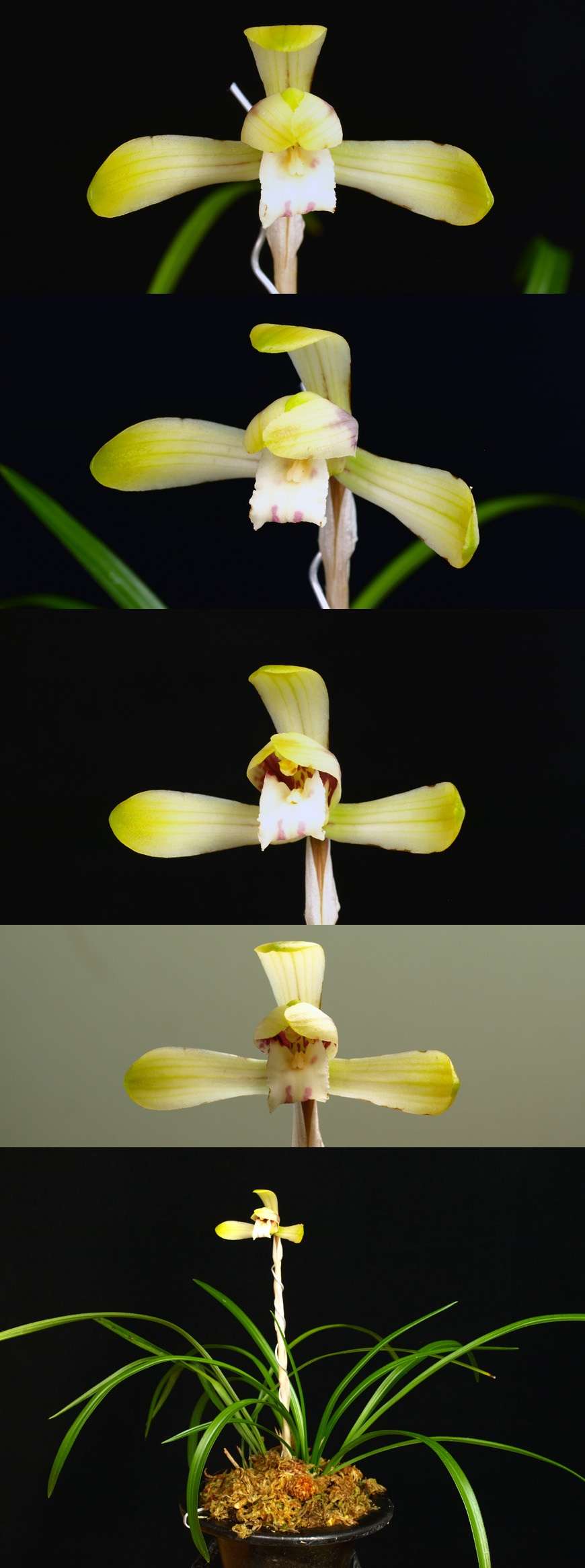 ������ ū������ �� �� �ֽ��ϴ�.