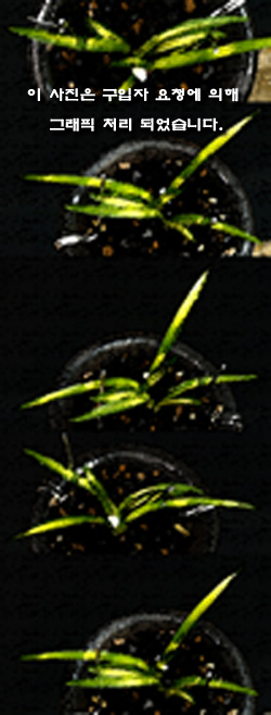 ������ ū������ �� �� �ֽ��ϴ�.