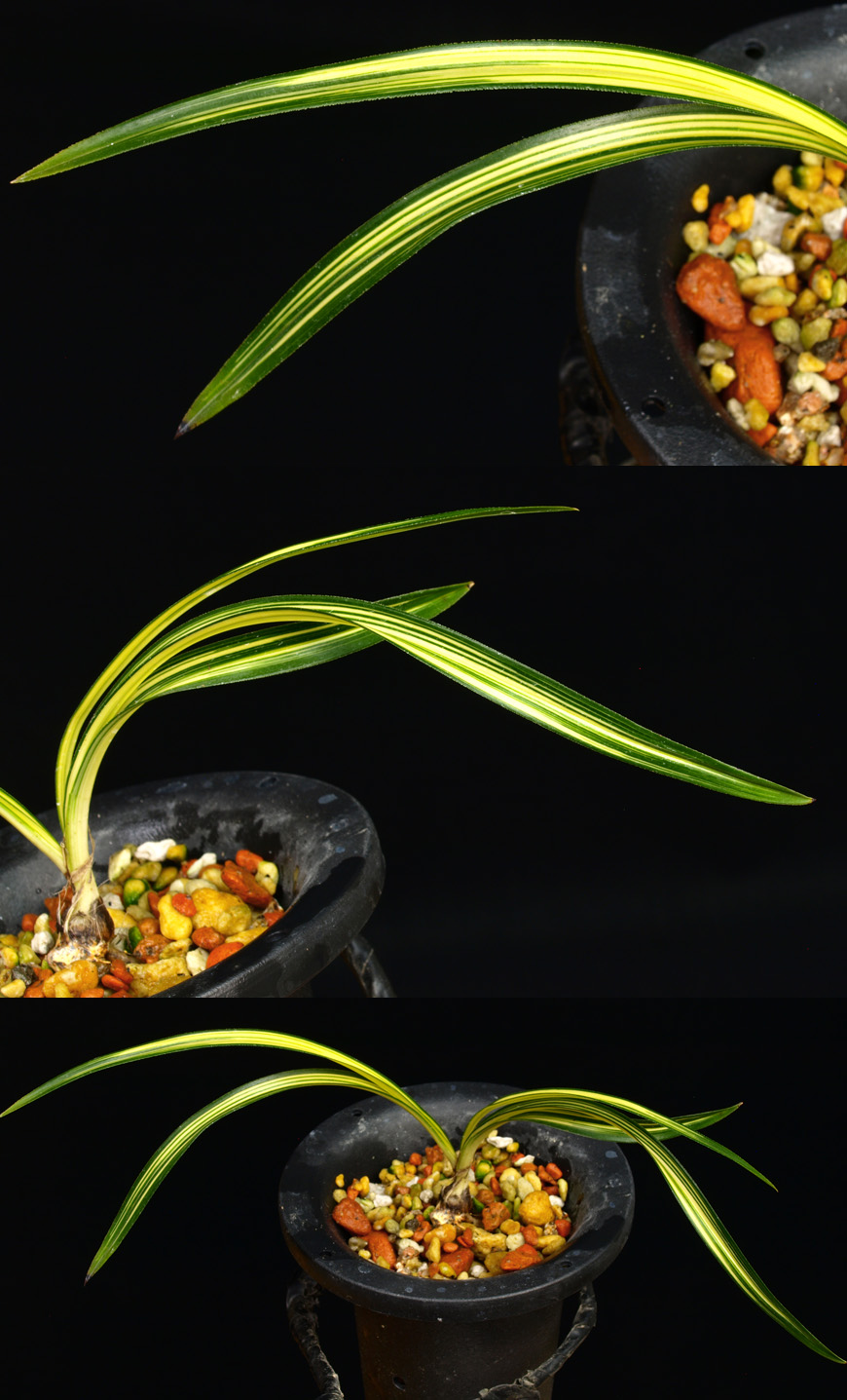 ������ ū������ �� �� �ֽ��ϴ�.